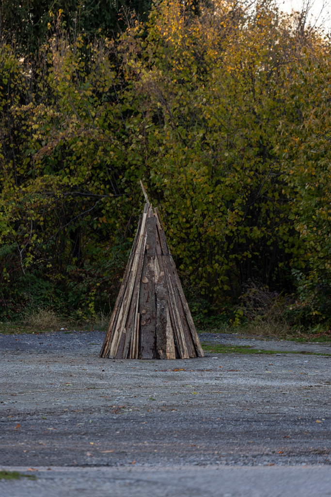 albota-foc-de-tabara-1