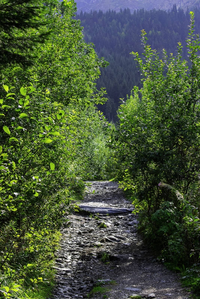 Traseu montan anevoios