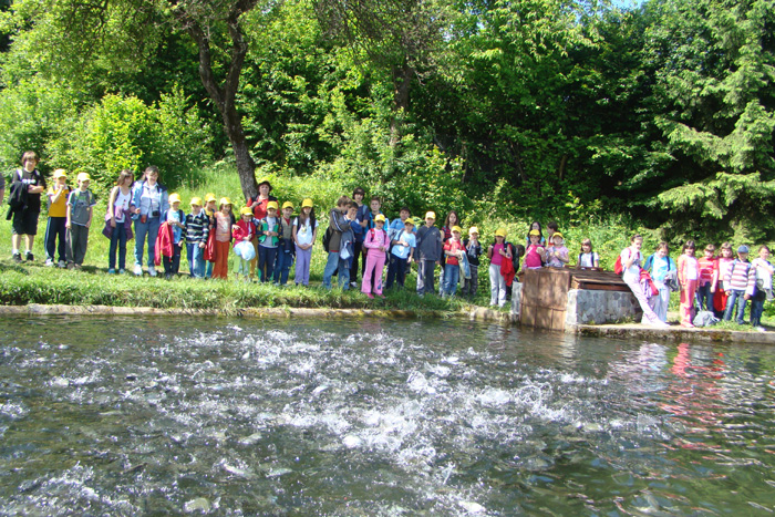 Grup în activitate lângă bazine