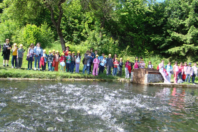 Eine Schulgruppe am Teichrand, Forellen wühlen das Wasser auf