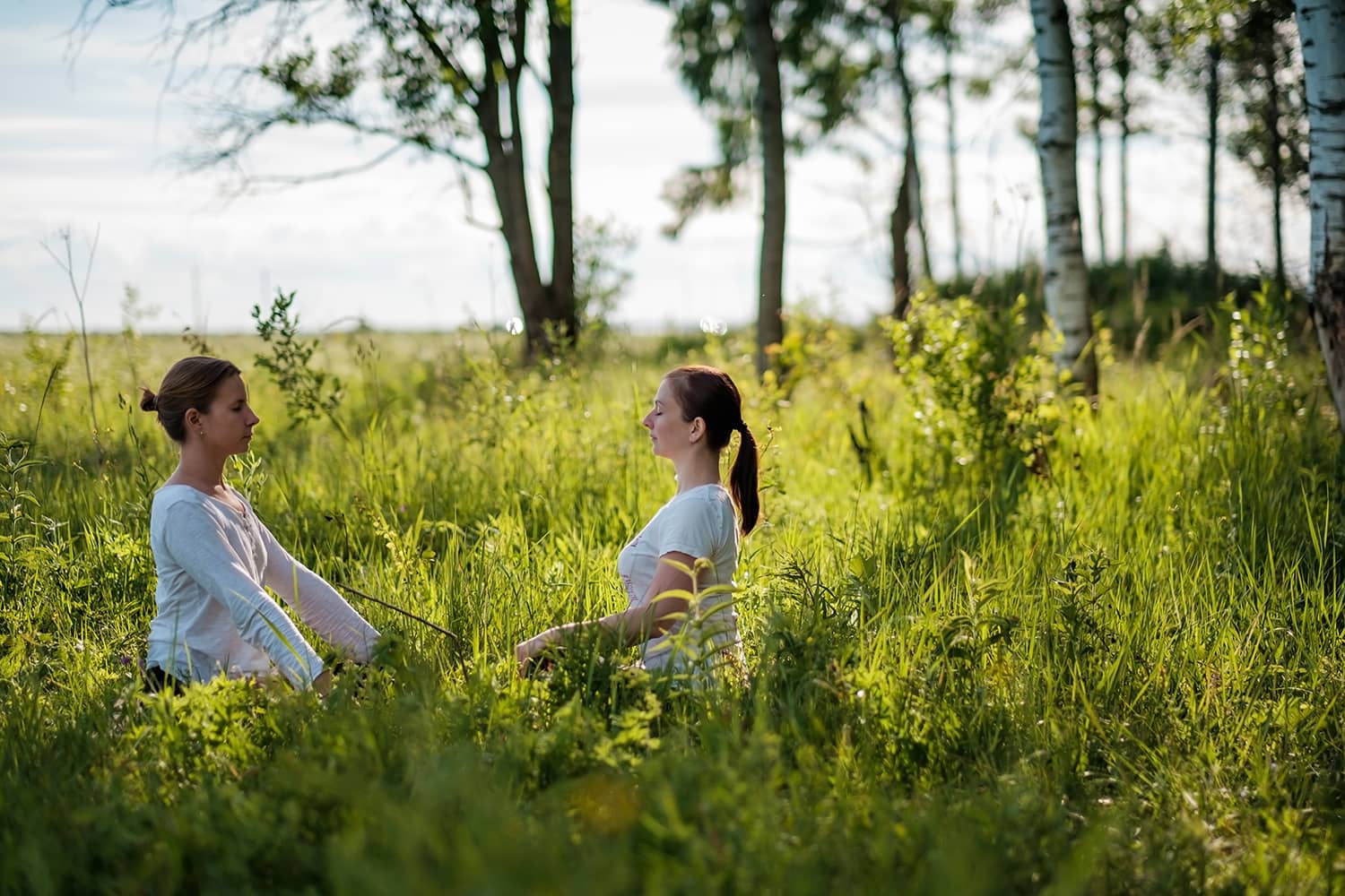 Două femei meditând în iarbă înaltă, printre mesteceni