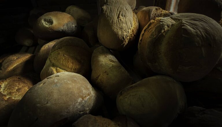 From the farm to the plate: discover the experiences at Complex Albota