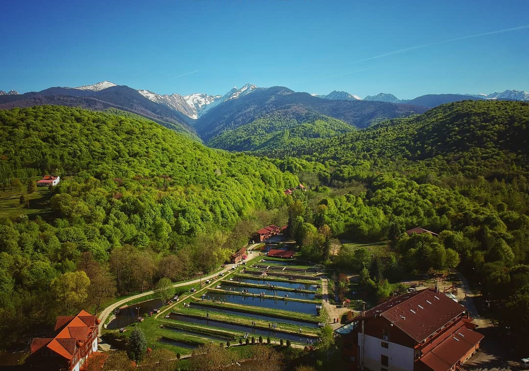 The Albota tourist complex and trout farm