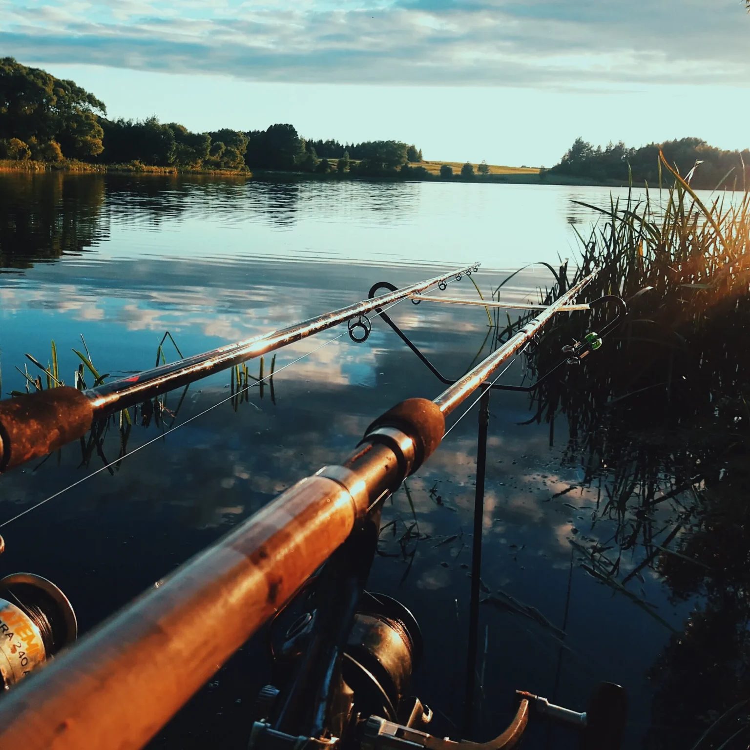 Two rods over a calm lake at dawn