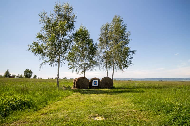 Bogenschießscheiben auf Strohballen unter Birken auf der Wiese
