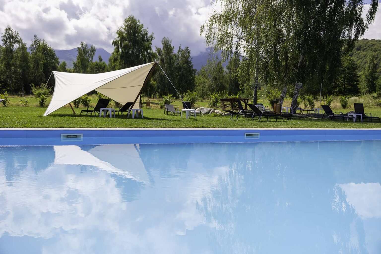 Piscina exterioară, cu umbrar, șezlonguri și o salcie
