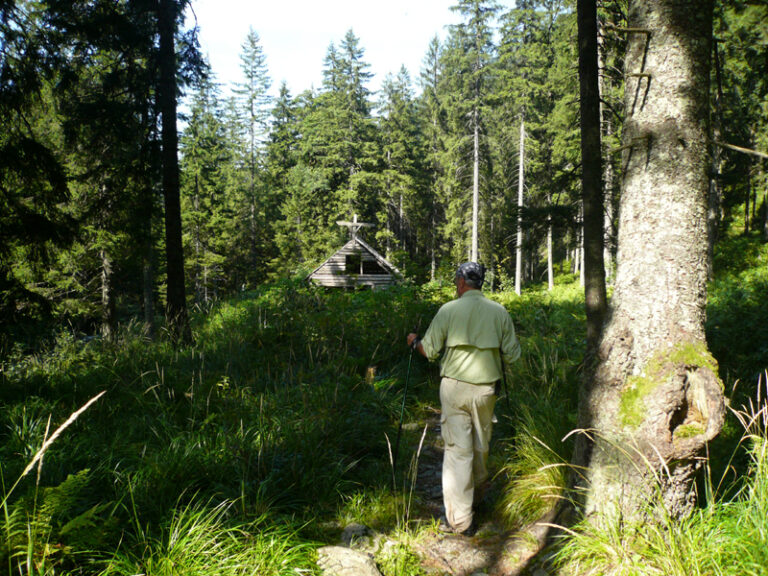 What can you do in Arpașu de Sus? Your hiking guide!