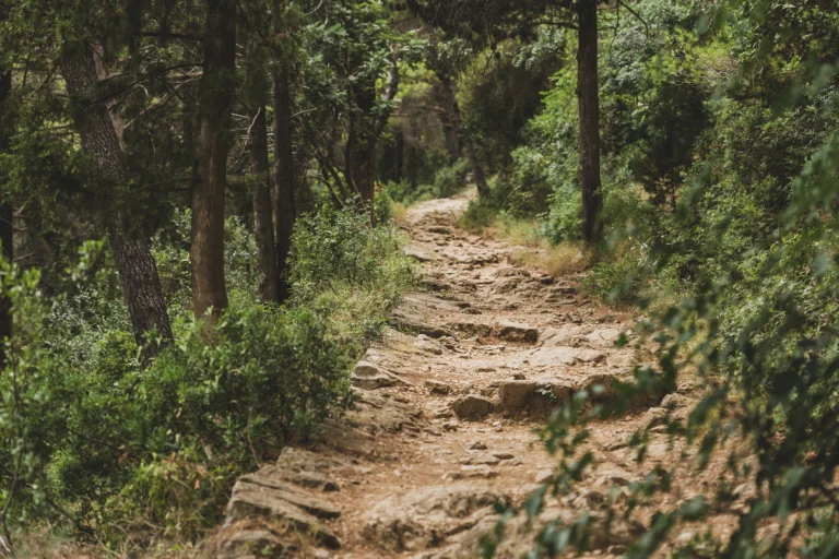 Hiking and exploring: scenic trails around Complex Albota