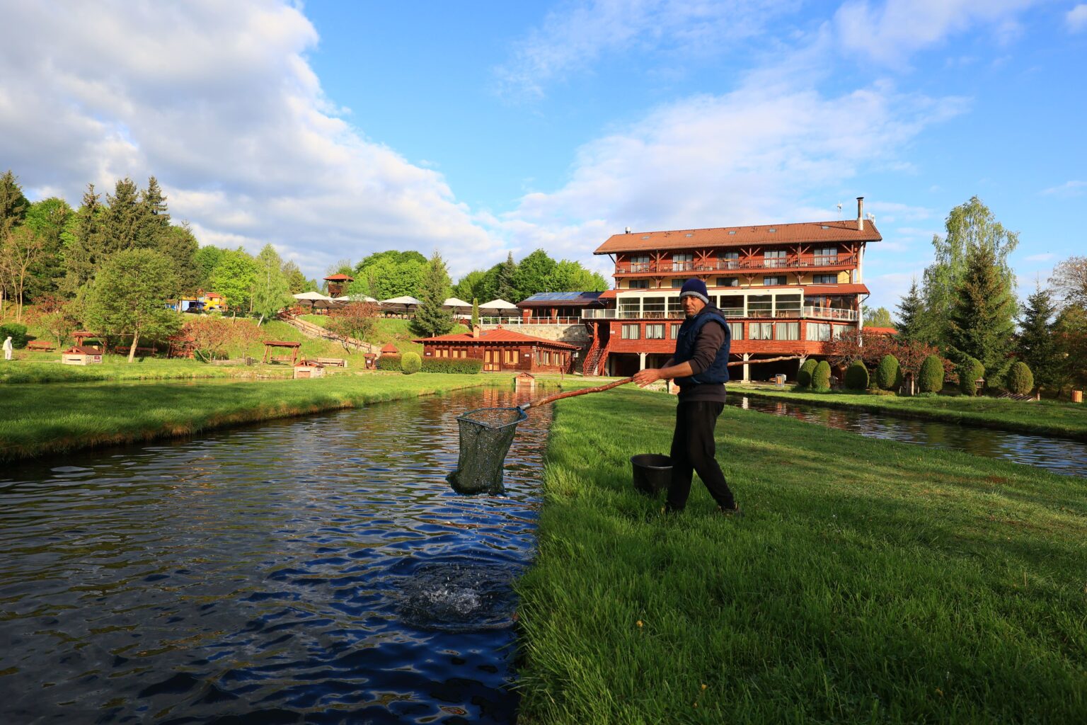 Member of staff netting trout from the ponds of Complex Albota