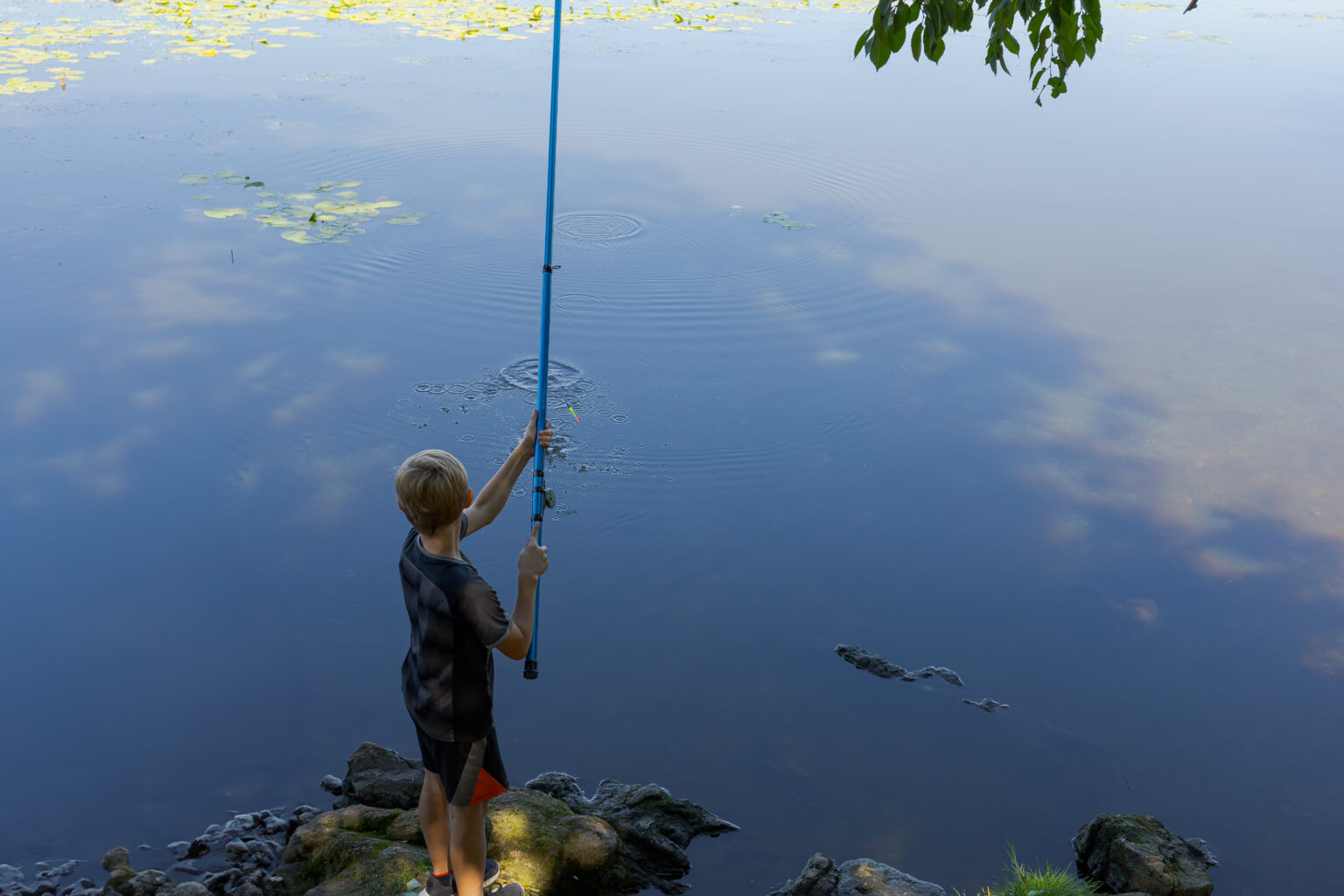 Child fishing from the bank of a lake with water lilies