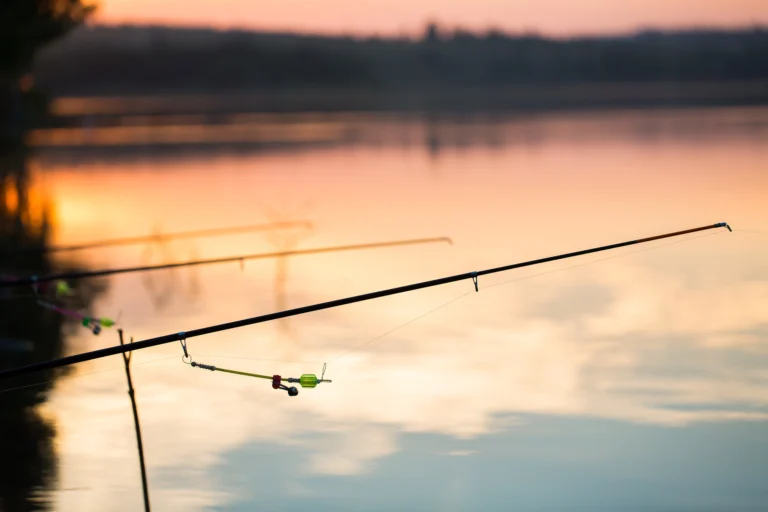 Fishing: adventure, relaxation and a connection with nature!