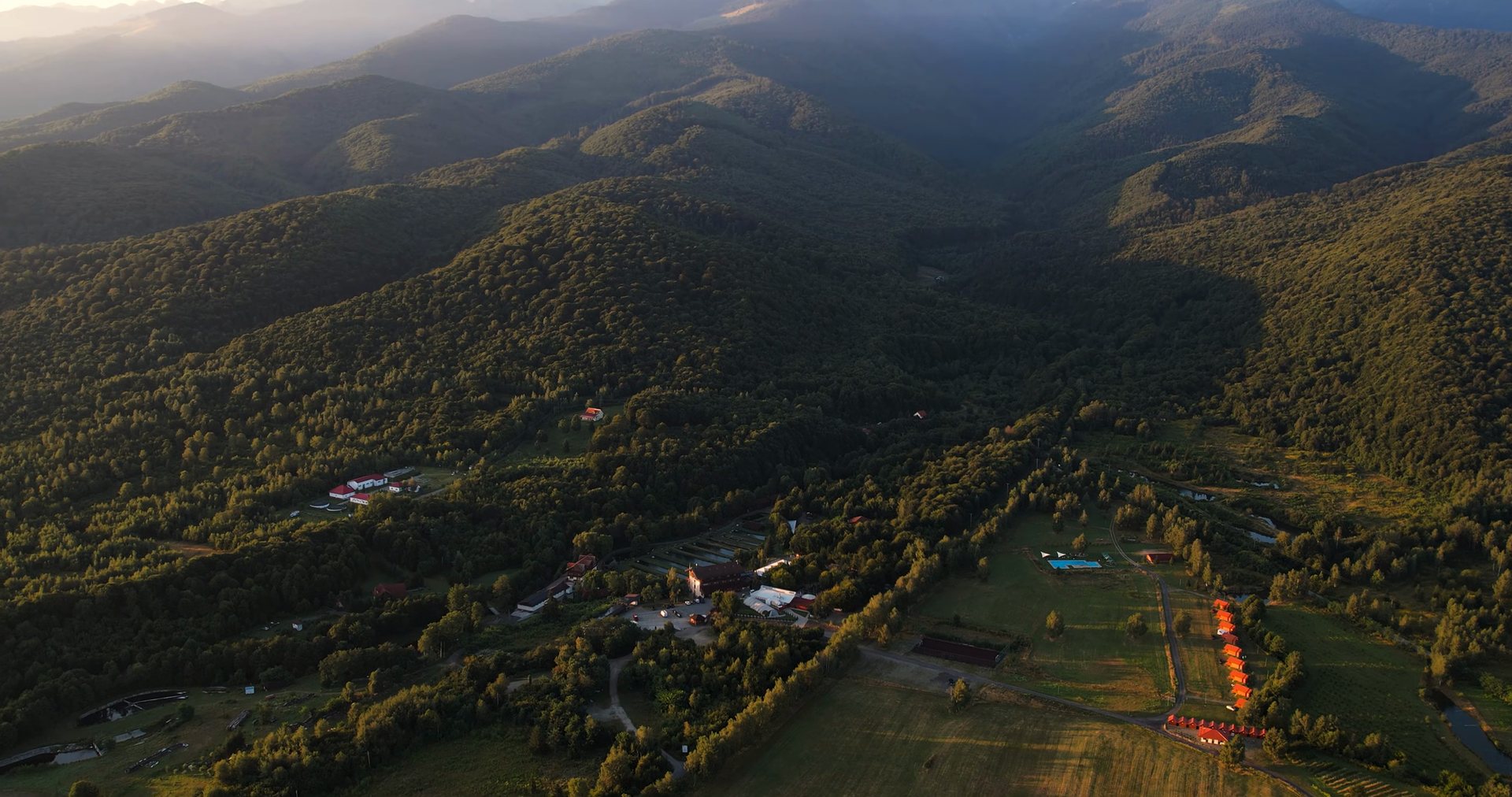 Vedere aeriană peste dealurile împădurite de la poalele Munților Făgăraș