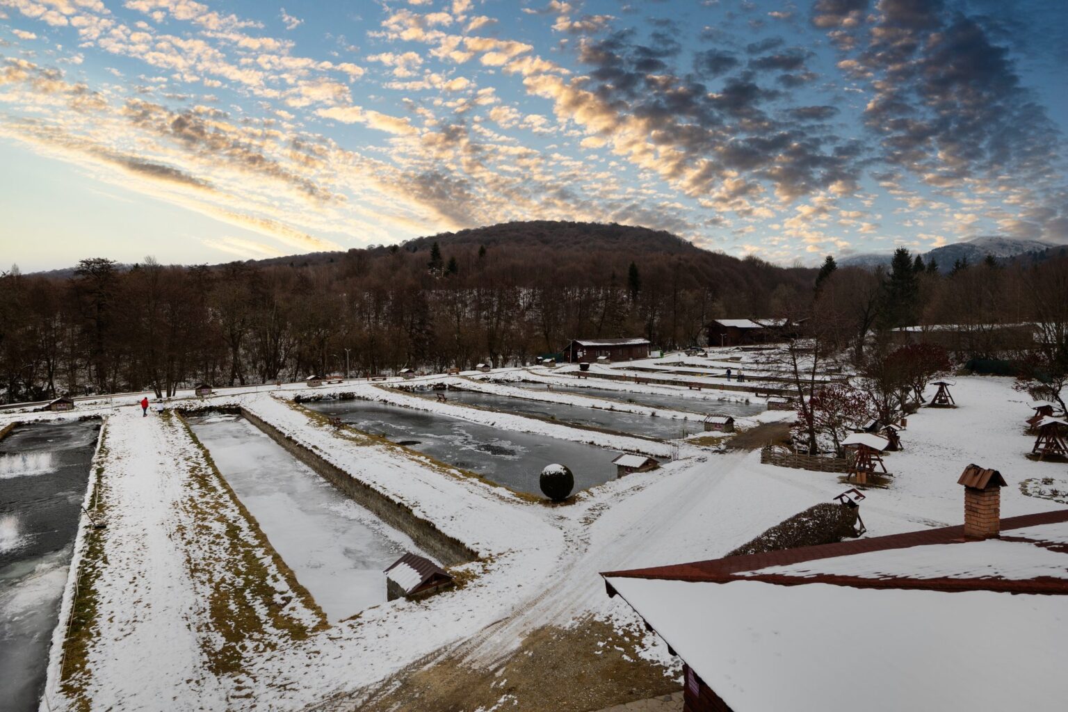 Winter at Albota: the trout ponds under snow