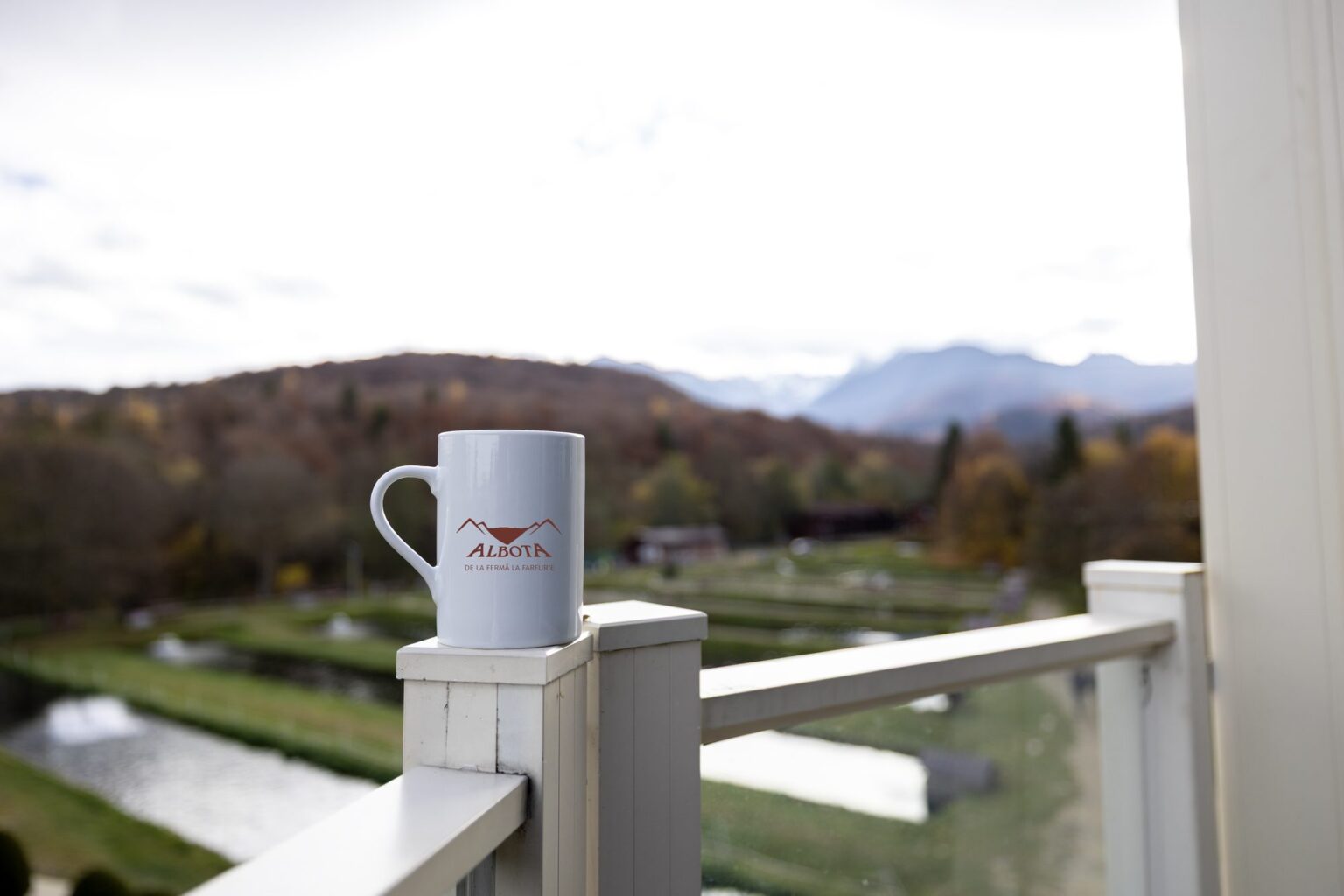 Cană Albota pe balustrada balconului, cu vedere spre bazine și munți