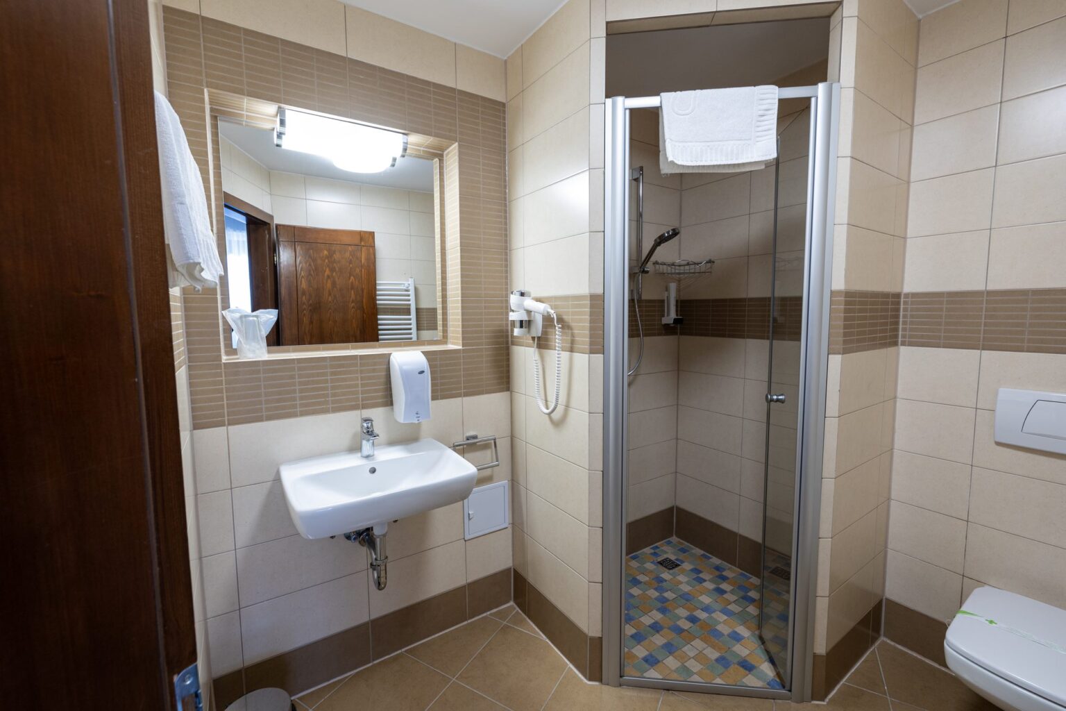 The double room's bathroom with shower, sink and mirror